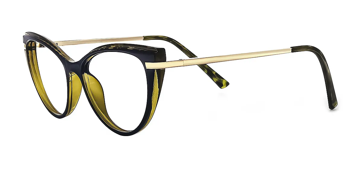 eyeglasses picture