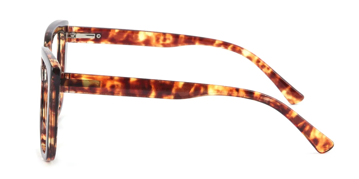 eyeglasses picture
