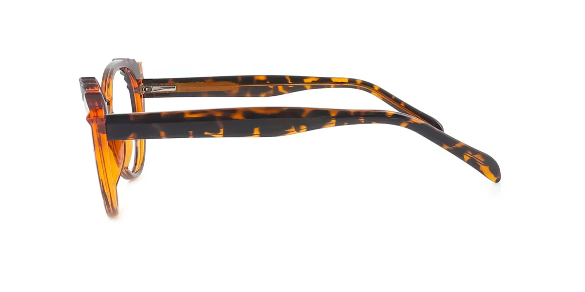 eyeglasses picture
