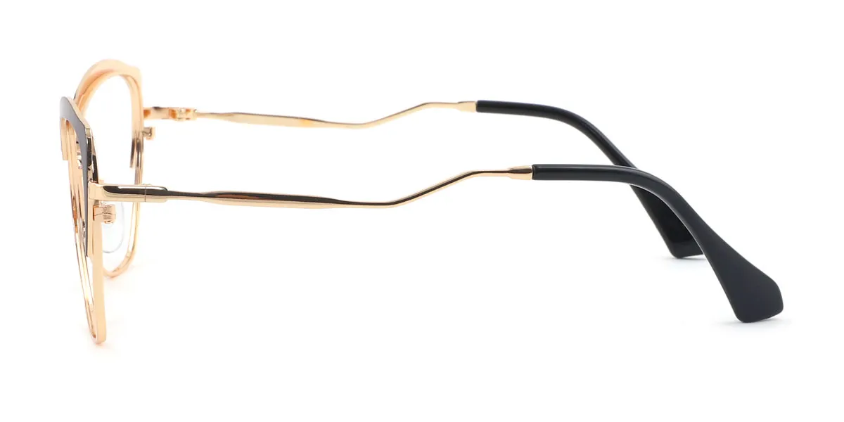 eyeglasses picture